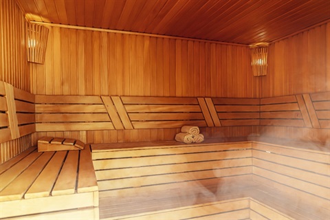 Steam